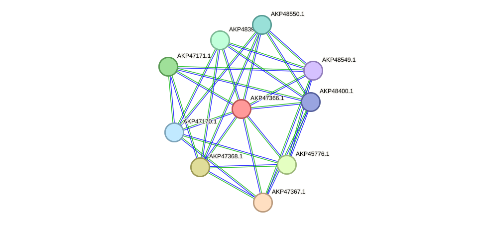 STRING protein interaction network