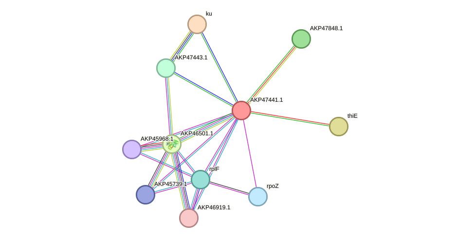 STRING protein interaction network