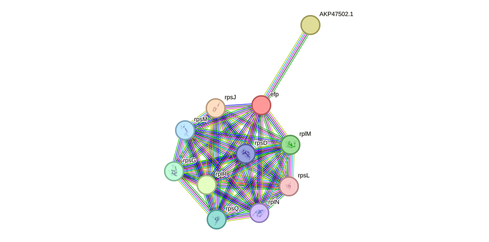 STRING protein interaction network