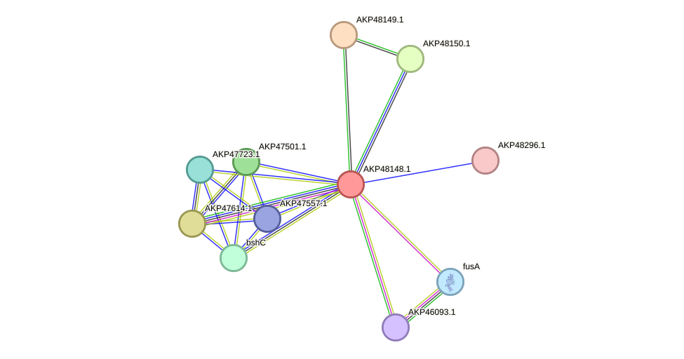 STRING protein interaction network