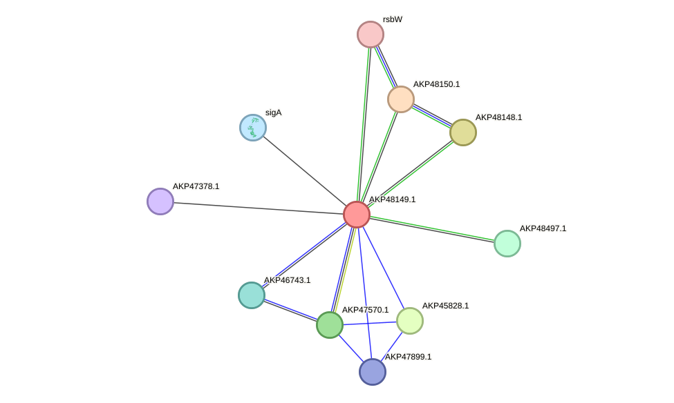 STRING protein interaction network