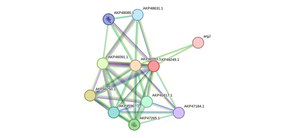 STRING protein interaction network