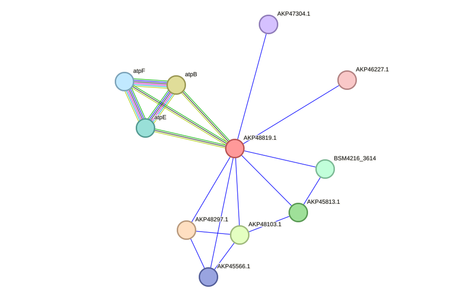 STRING protein interaction network