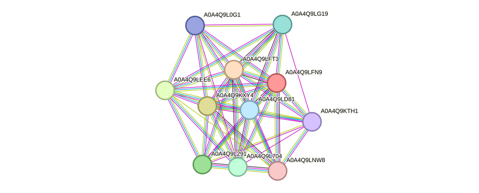 STRING protein interaction network