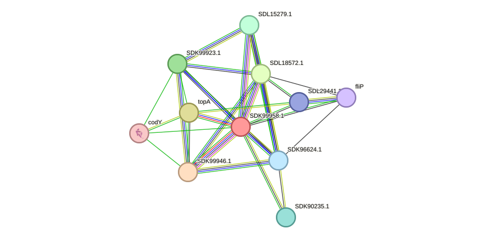 STRING protein interaction network