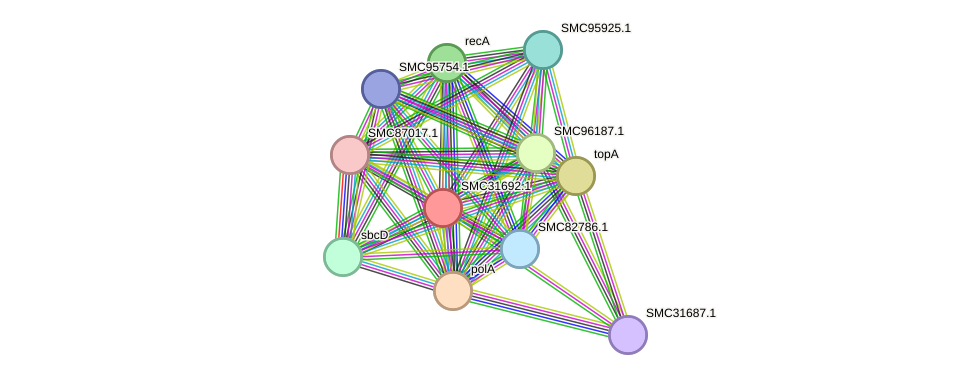 STRING protein interaction network