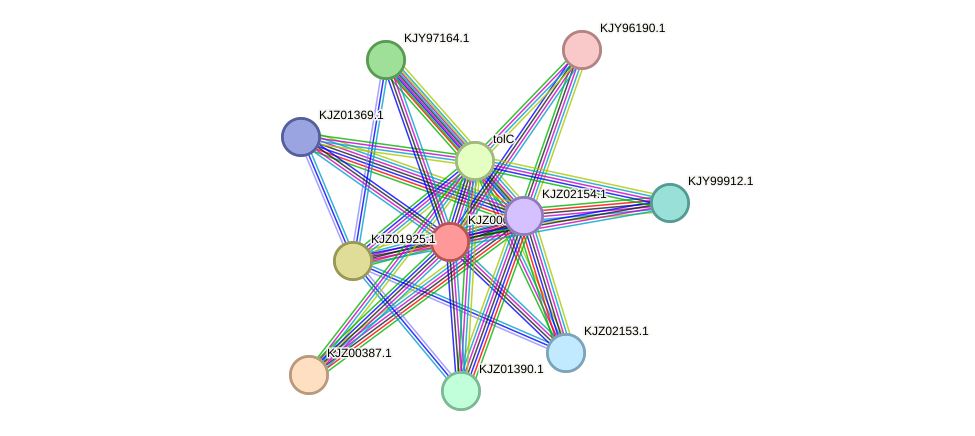 STRING protein interaction network