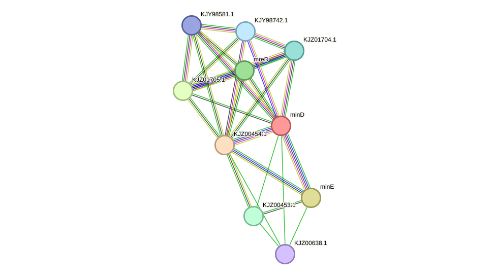 STRING protein interaction network