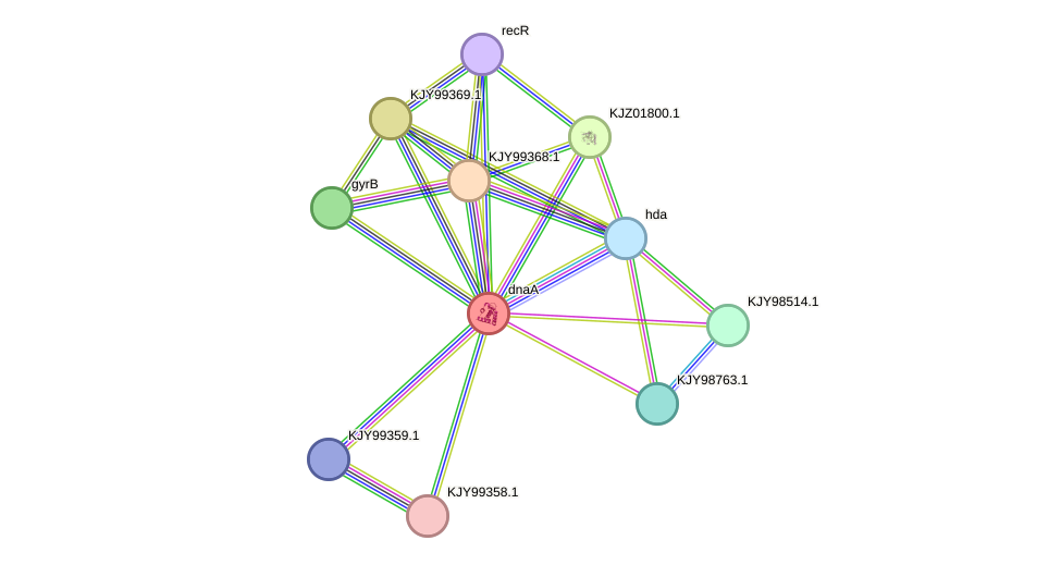 STRING protein interaction network