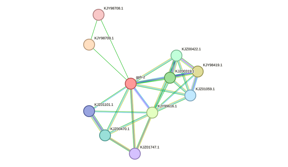 STRING protein interaction network