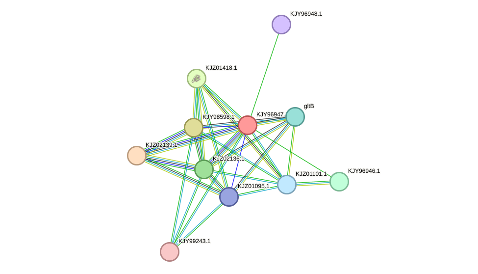 STRING protein interaction network