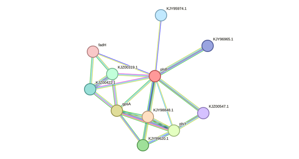 STRING protein interaction network