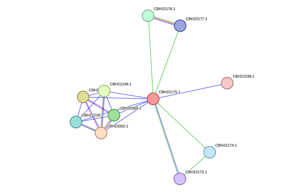 STRING protein interaction network