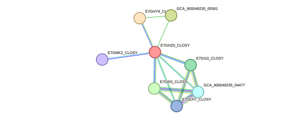 STRING protein interaction network