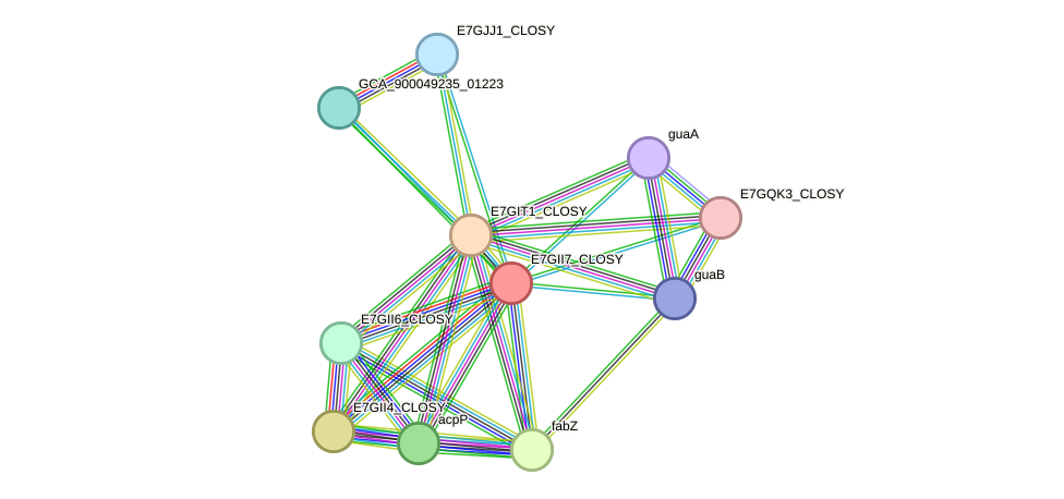 STRING protein interaction network