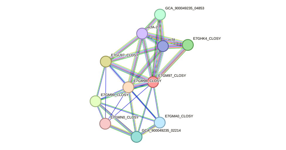 STRING protein interaction network