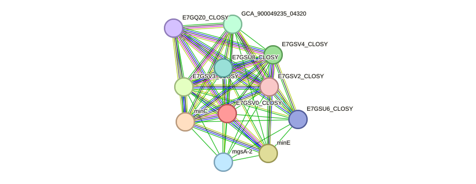 STRING protein interaction network