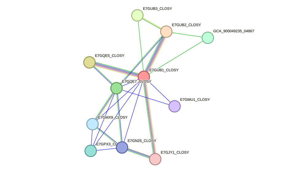 STRING protein interaction network