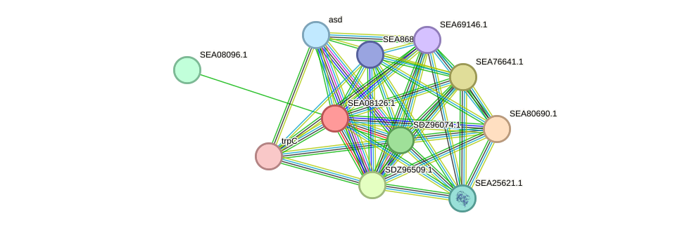 STRING protein interaction network