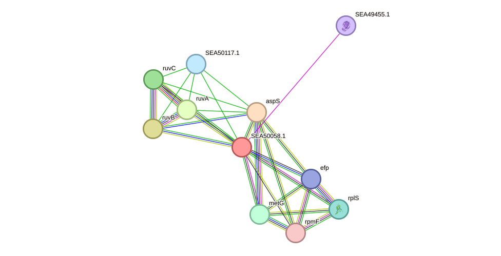 STRING protein interaction network