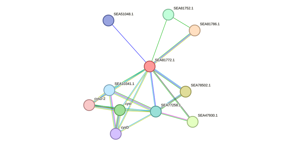 STRING protein interaction network