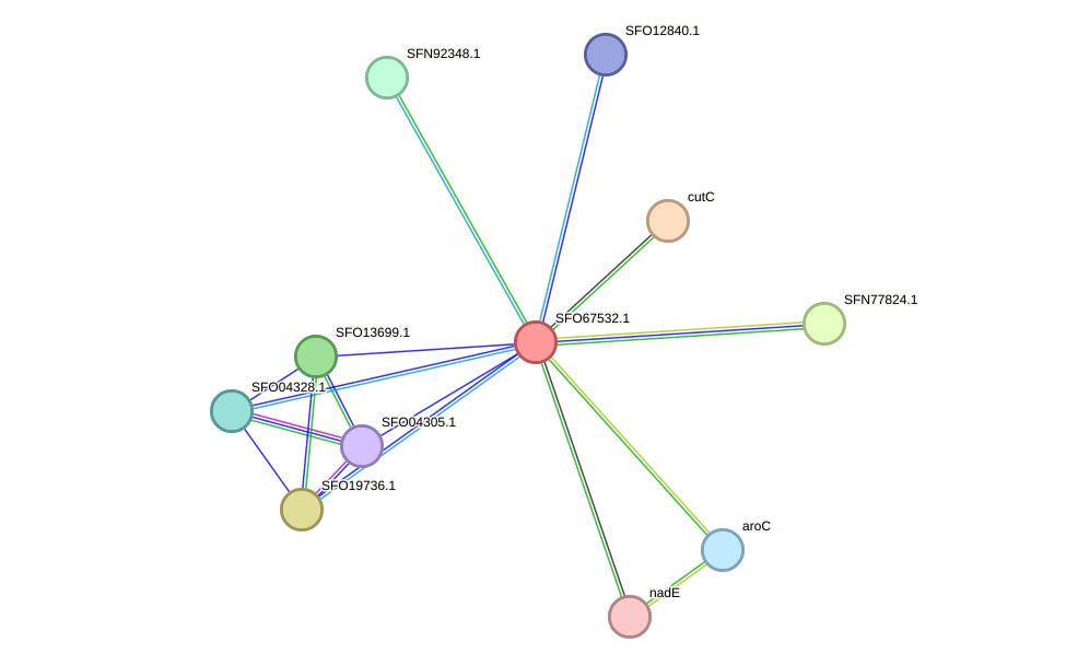 STRING protein interaction network