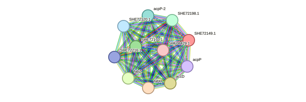 STRING protein interaction network