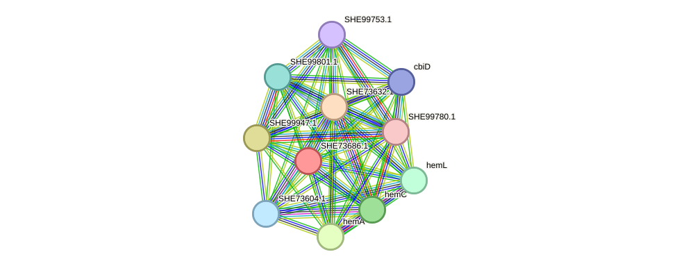 STRING protein interaction network