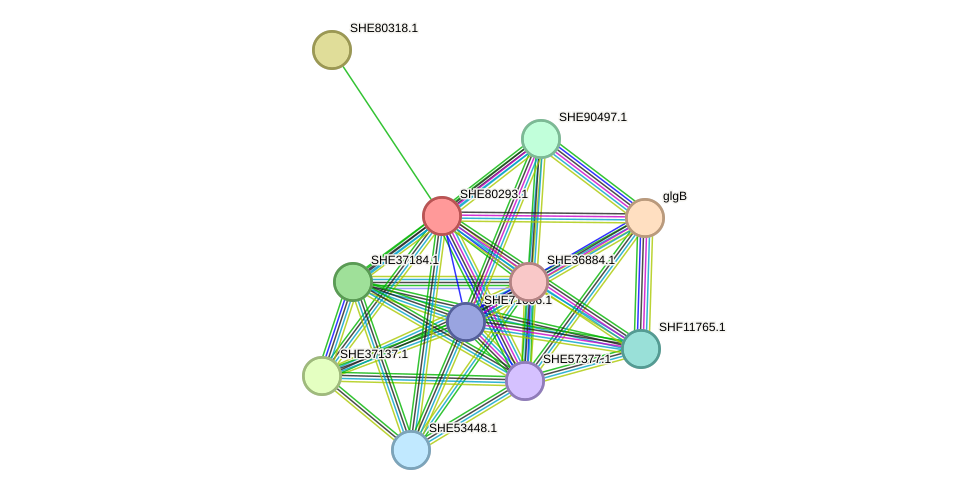 STRING protein interaction network