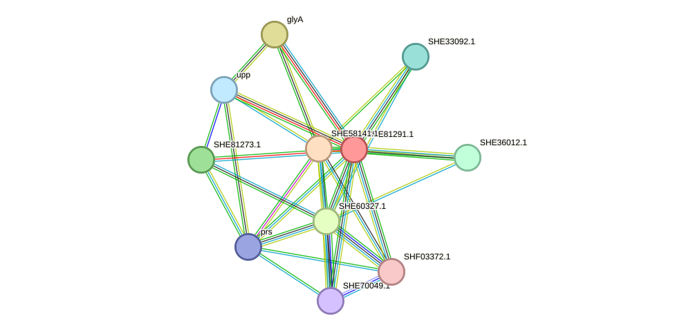 STRING protein interaction network