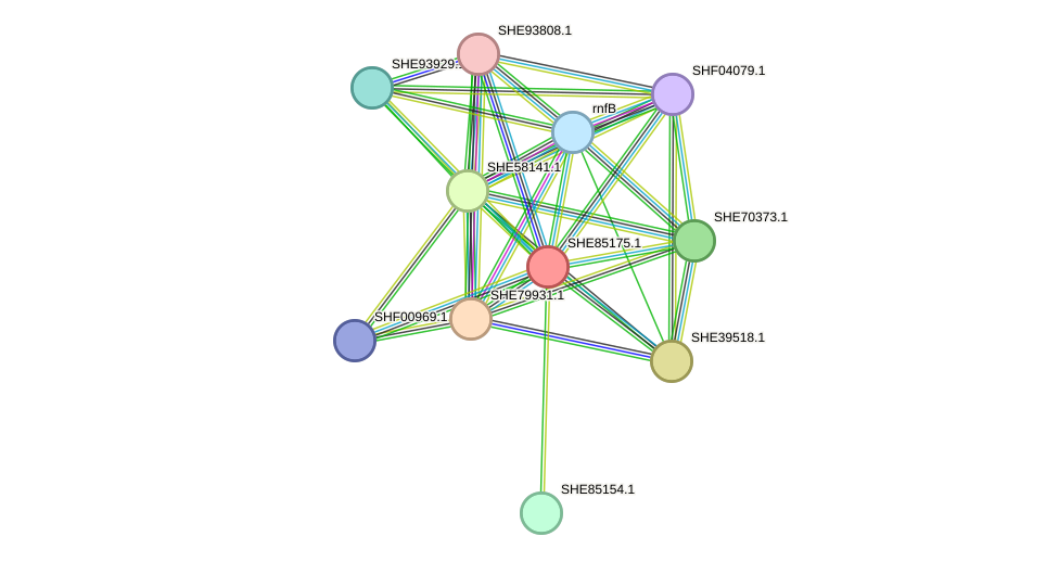 STRING protein interaction network