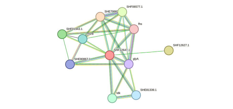 STRING protein interaction network