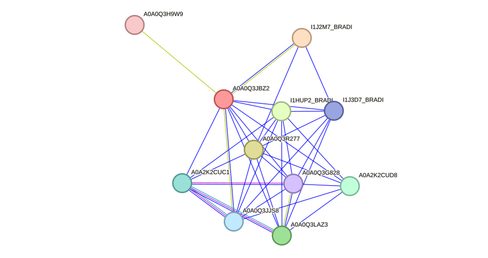 STRING protein interaction network