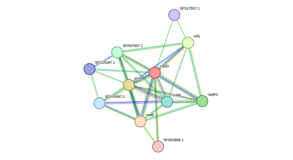 STRING protein interaction network