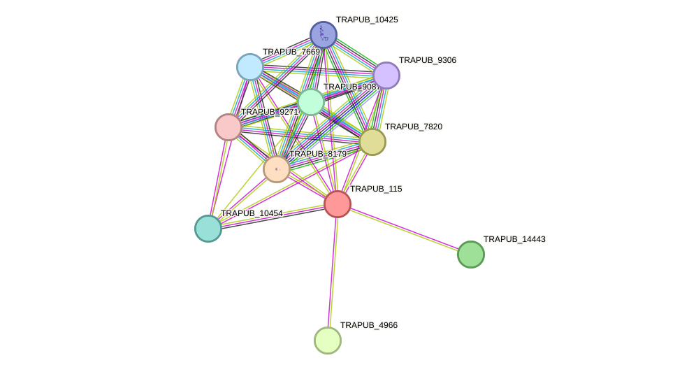 STRING protein interaction network