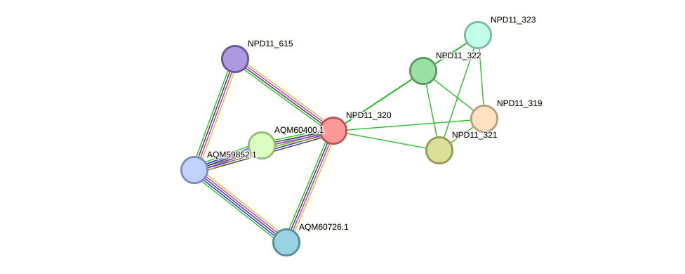 STRING protein interaction network