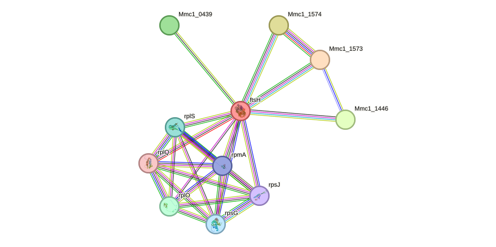 STRING protein interaction network