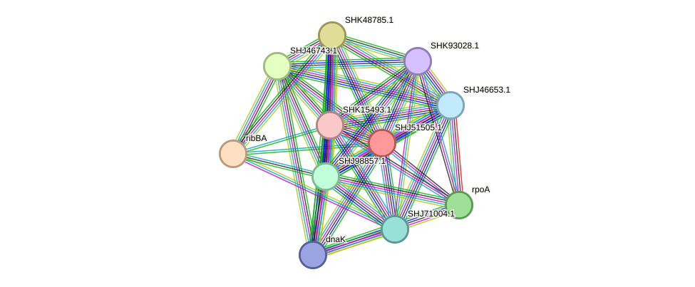 STRING protein interaction network