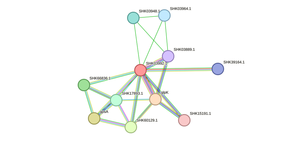 STRING protein interaction network