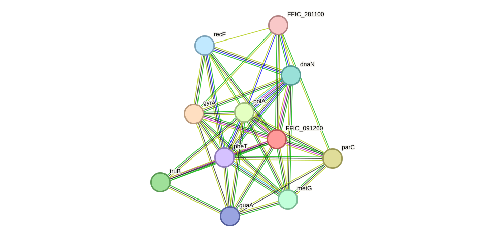 STRING protein interaction network