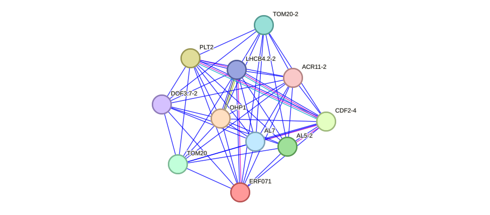 STRING protein interaction network