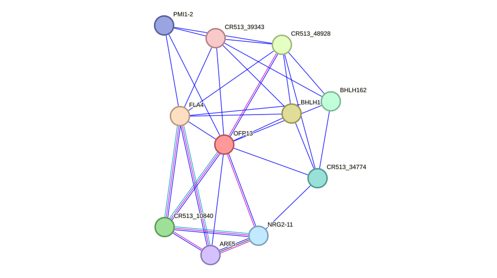 STRING protein interaction network