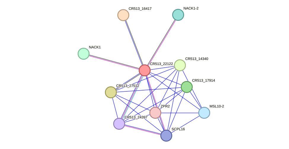 STRING protein interaction network