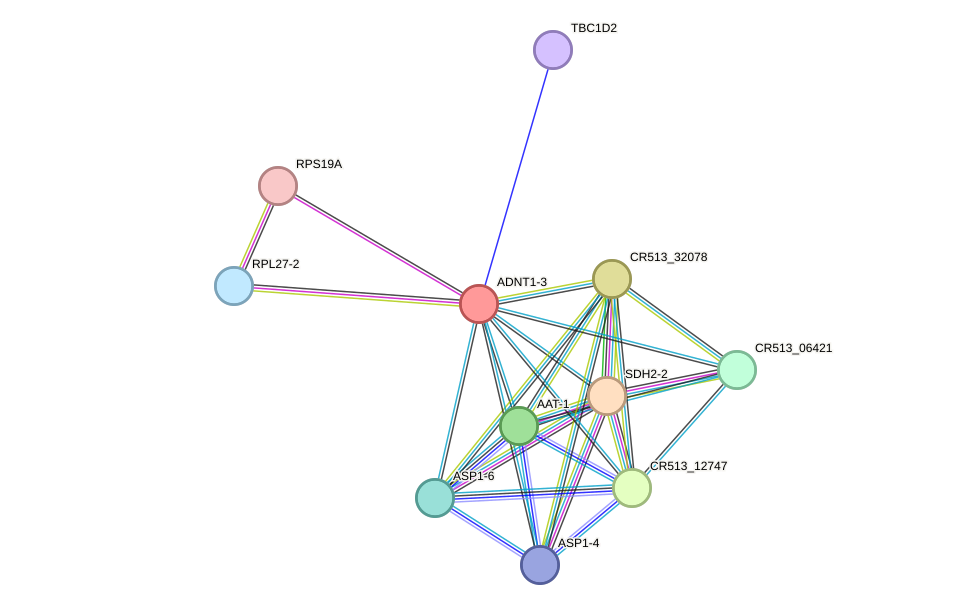 STRING protein interaction network