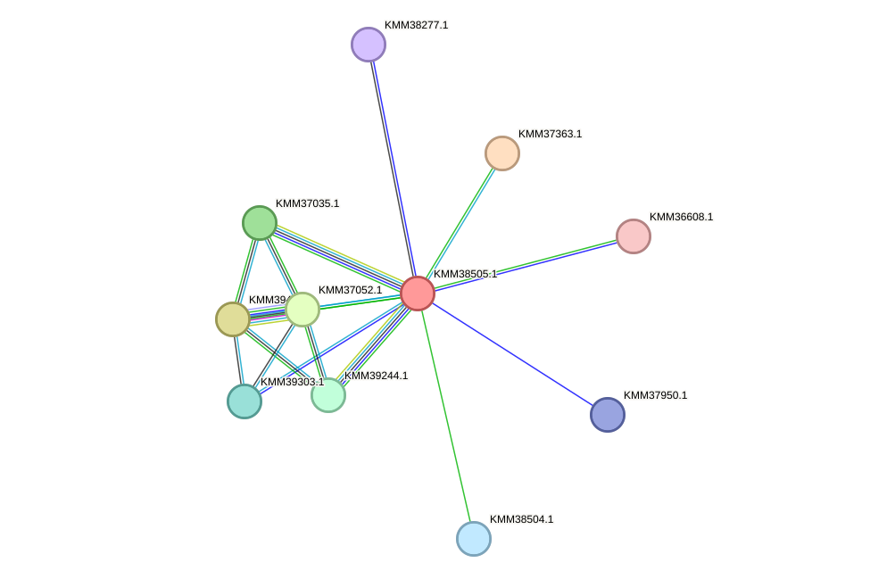 STRING protein interaction network