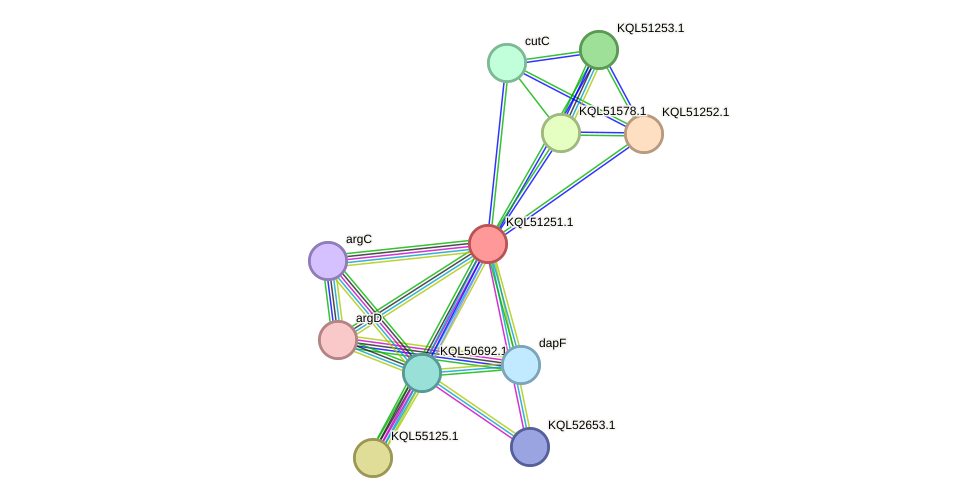 STRING protein interaction network