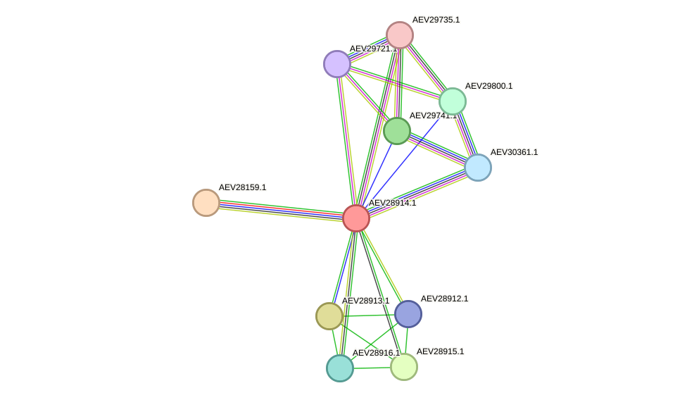 STRING protein interaction network