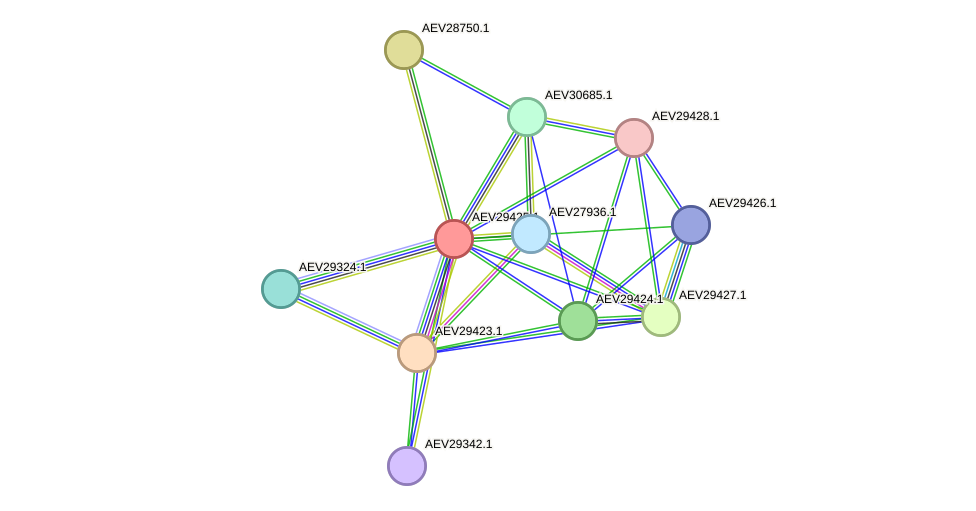 STRING protein interaction network