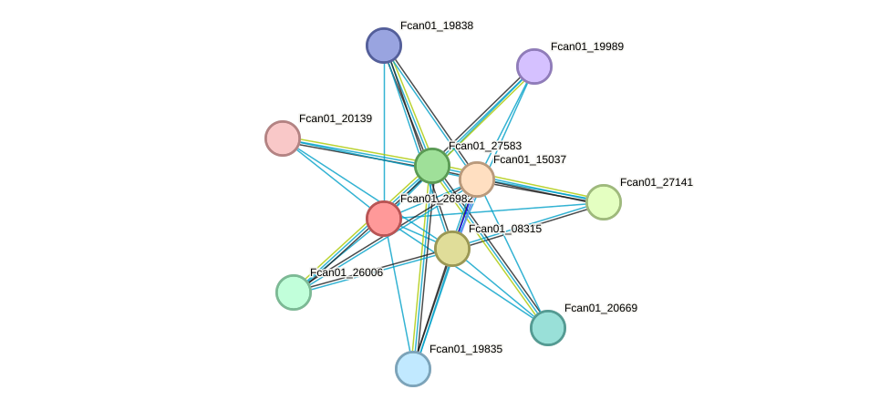 STRING protein interaction network