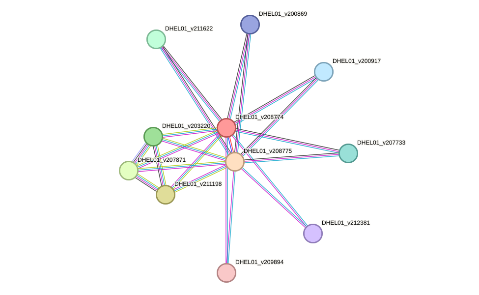 STRING protein interaction network